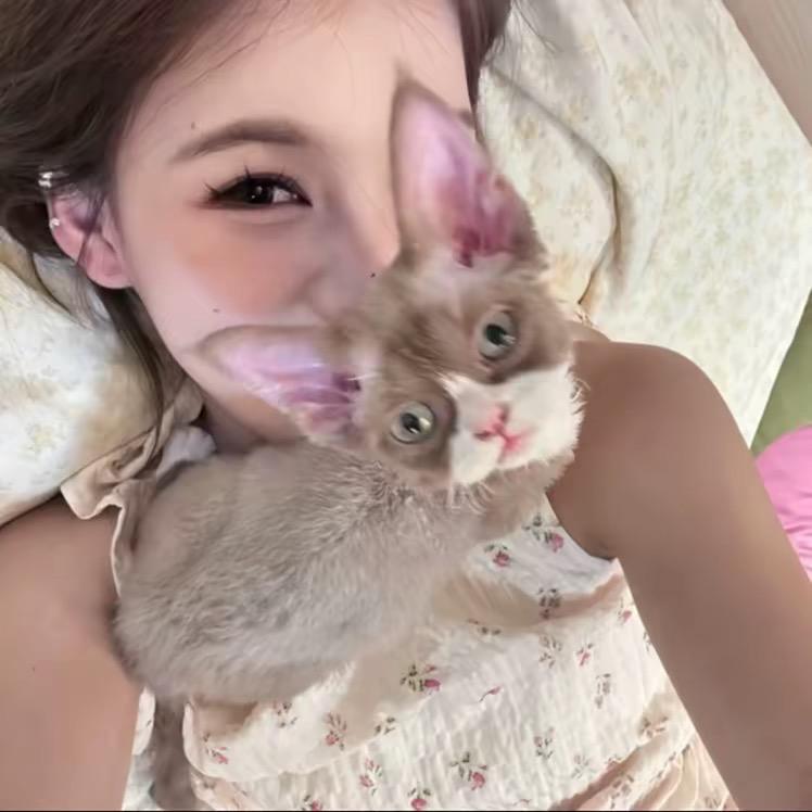 我真没招了·