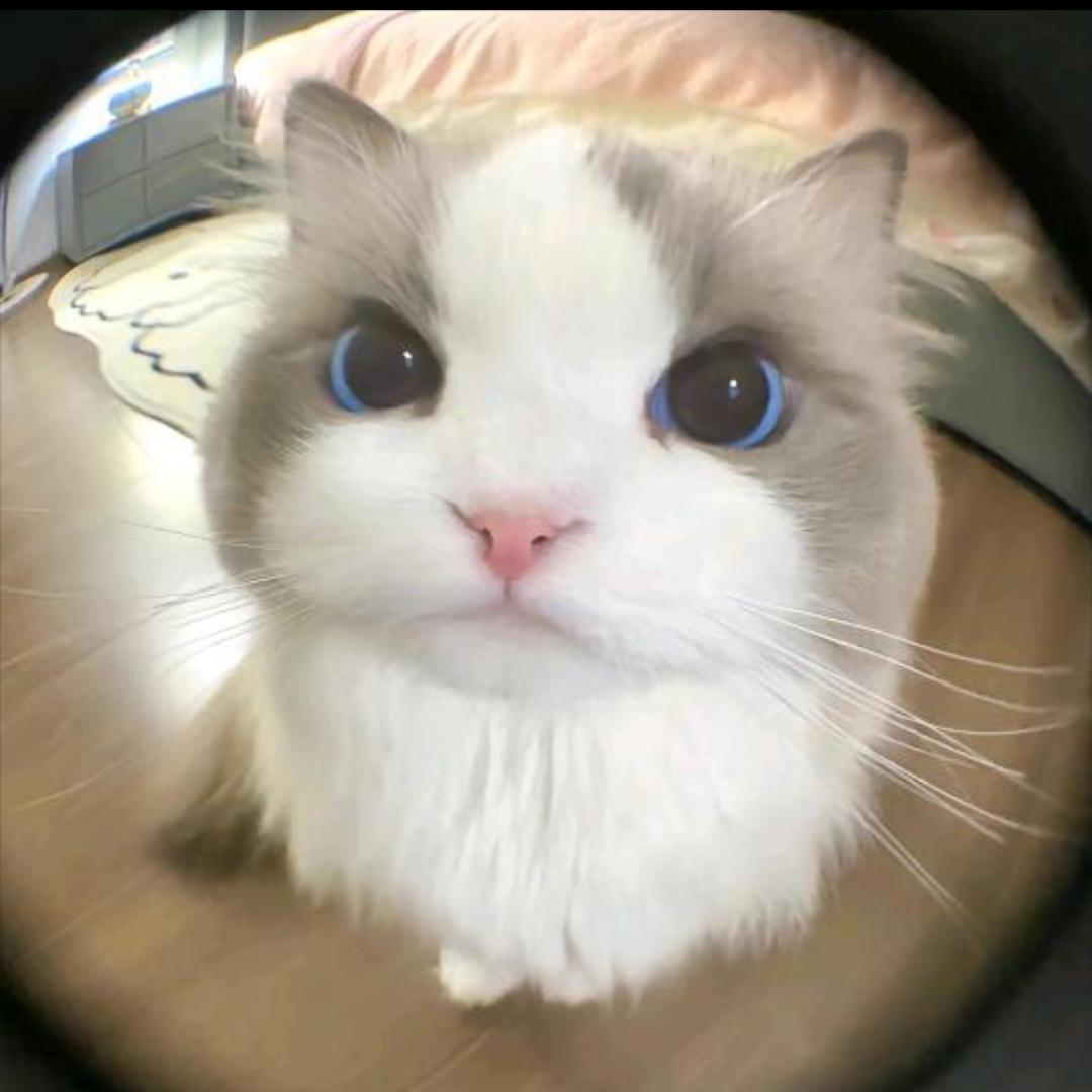 ！