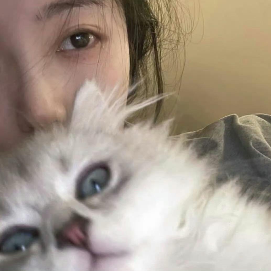 麻辣小兔头🐰
