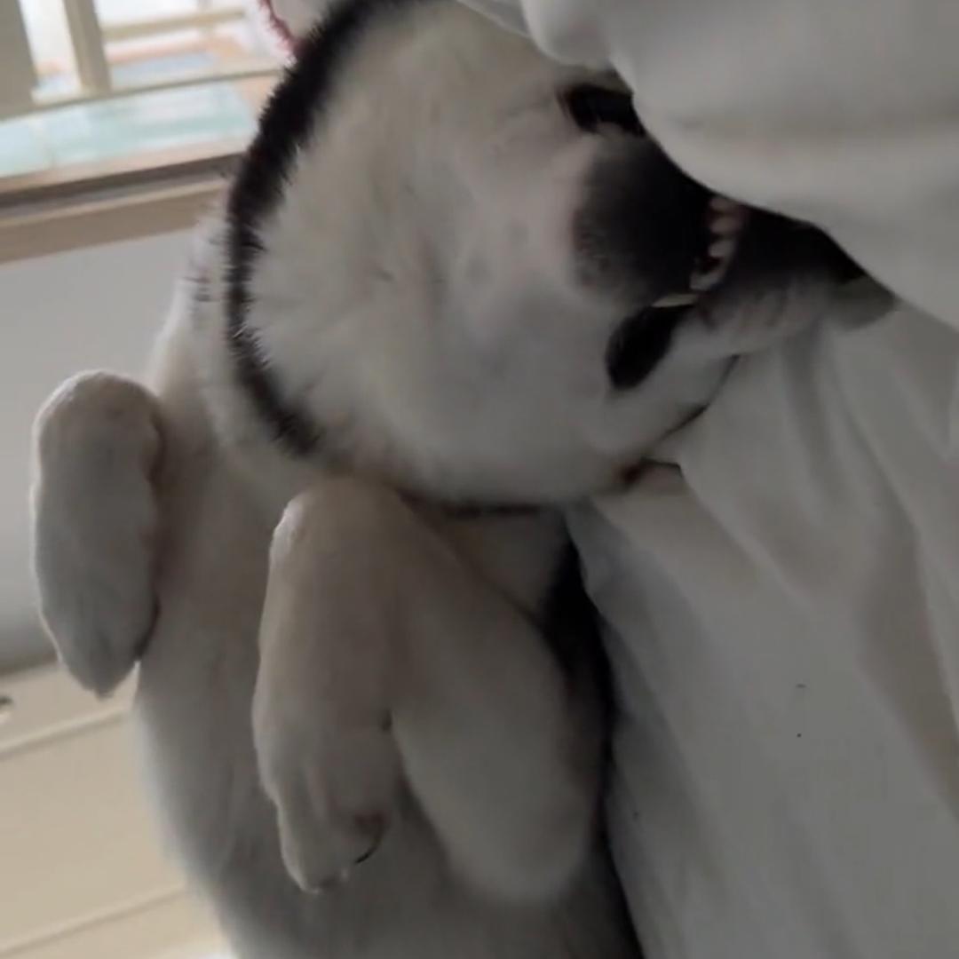 妖魔鬼怪快离开