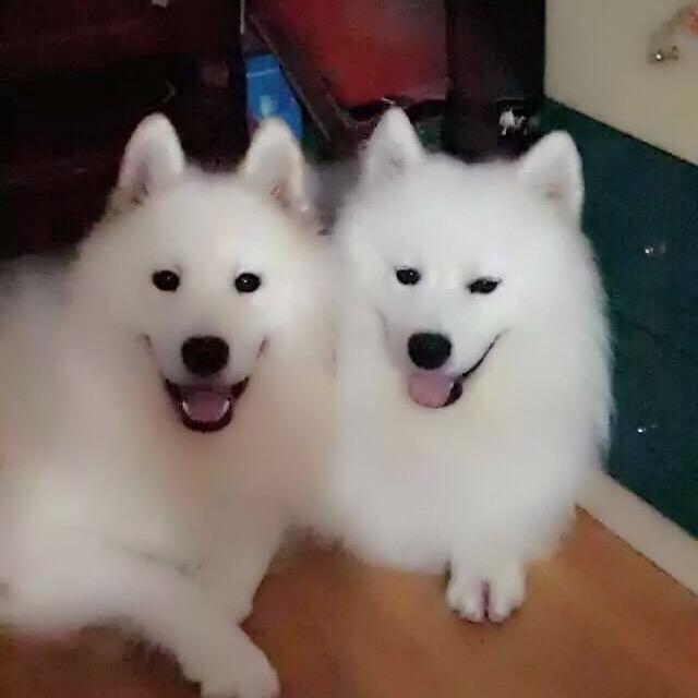 菲家小窝