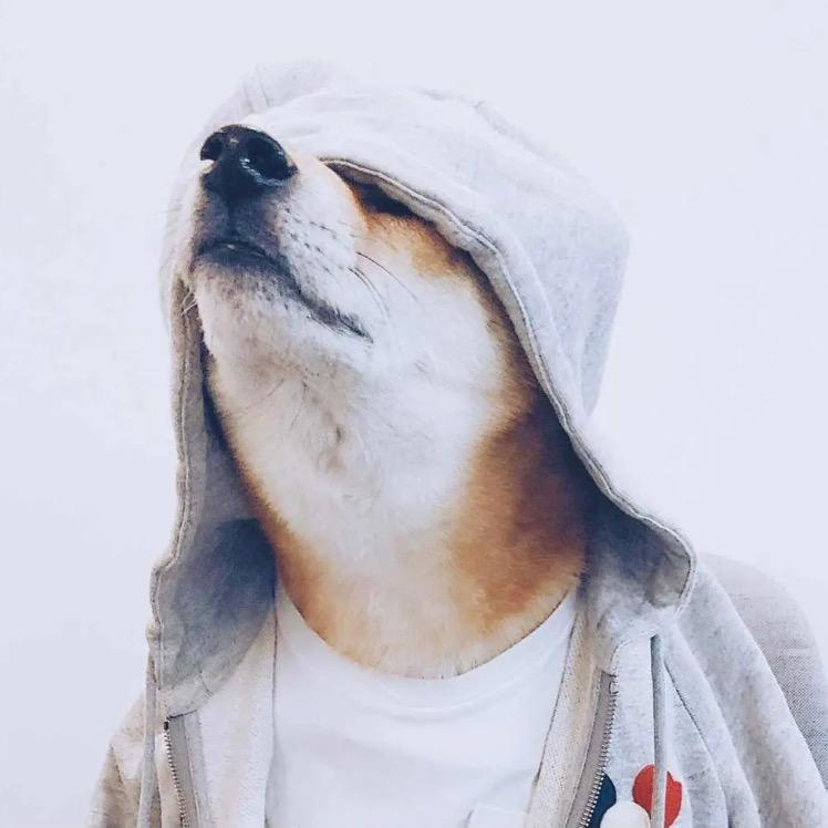 入戏太深