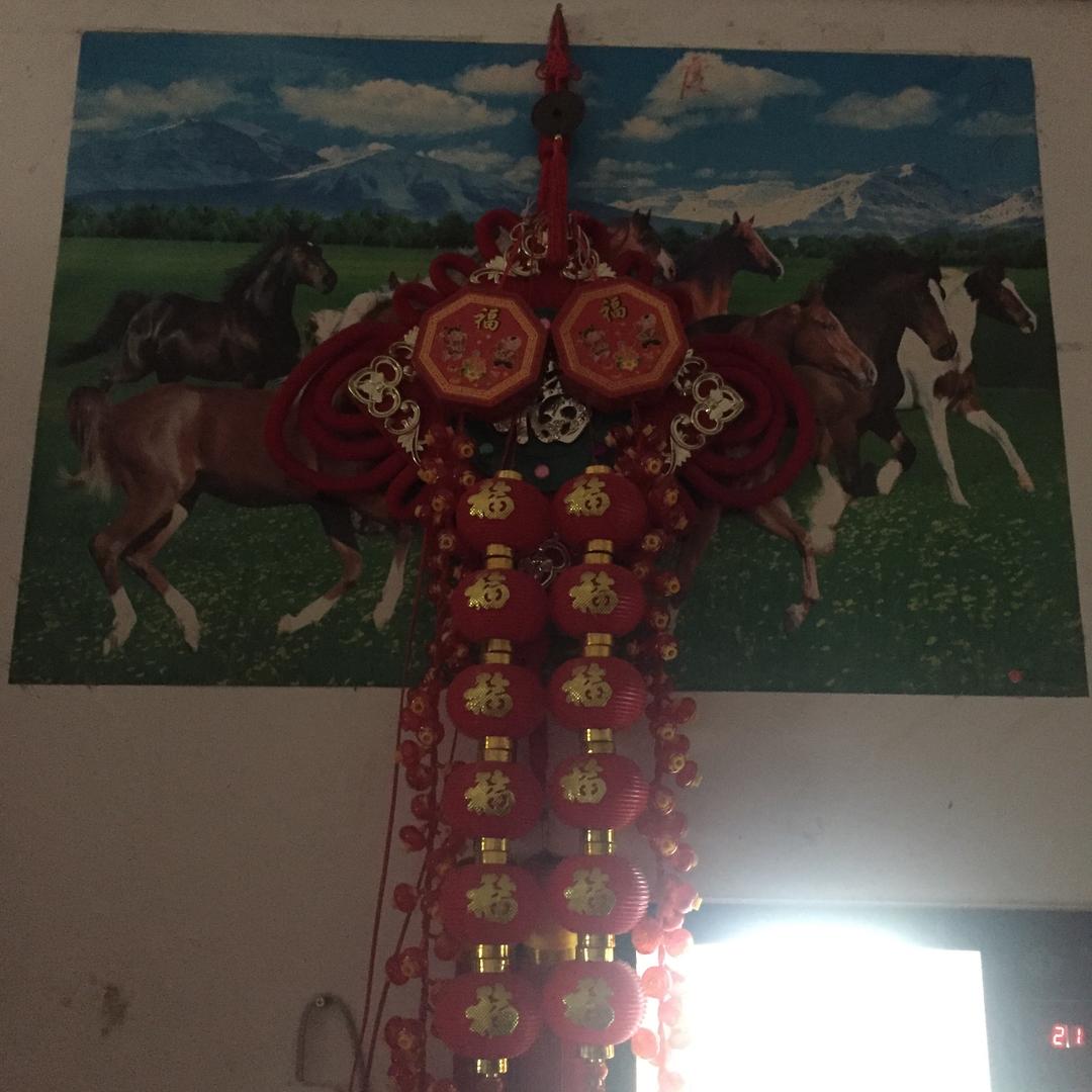 🌹傻🌸逃🌷