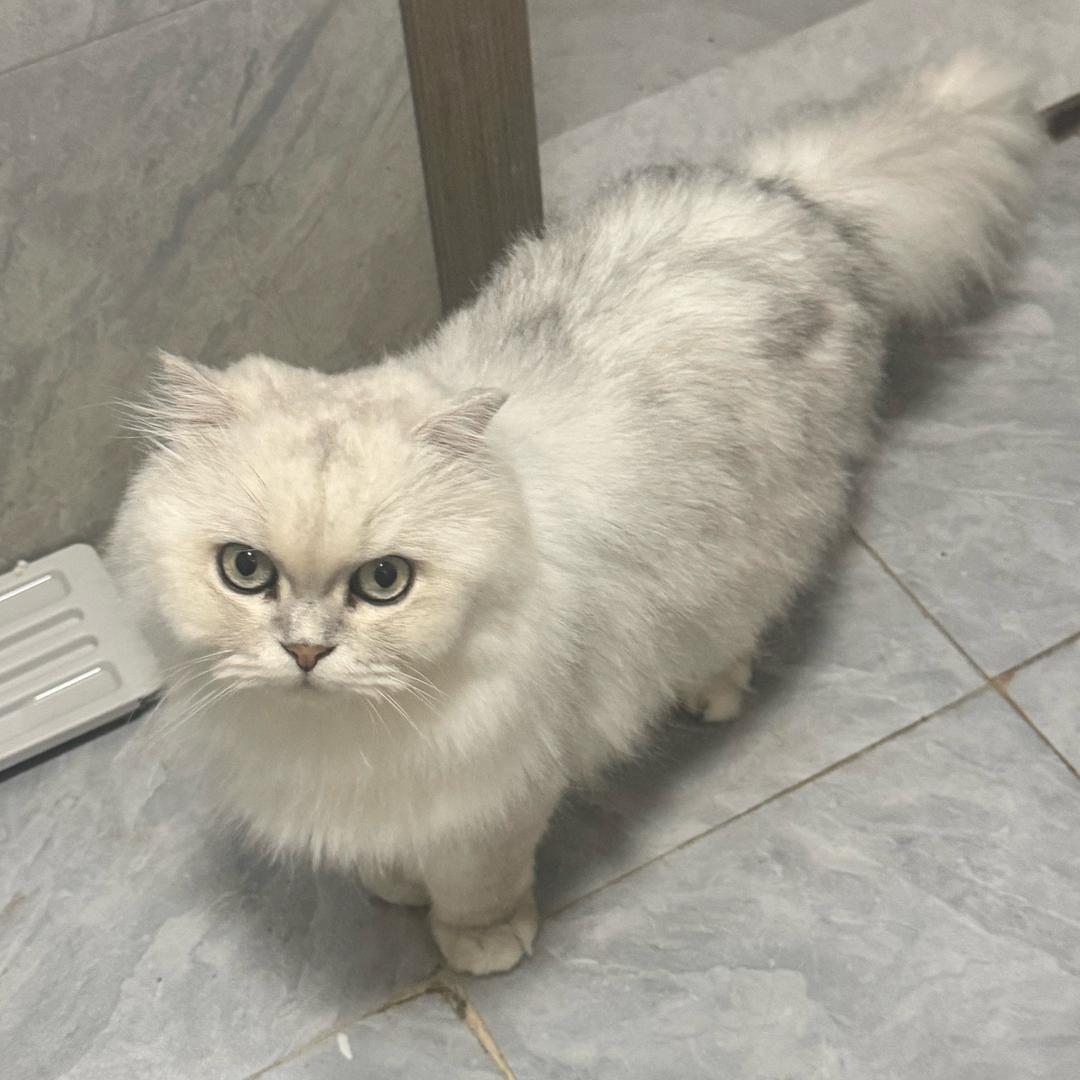嗯3️⃣