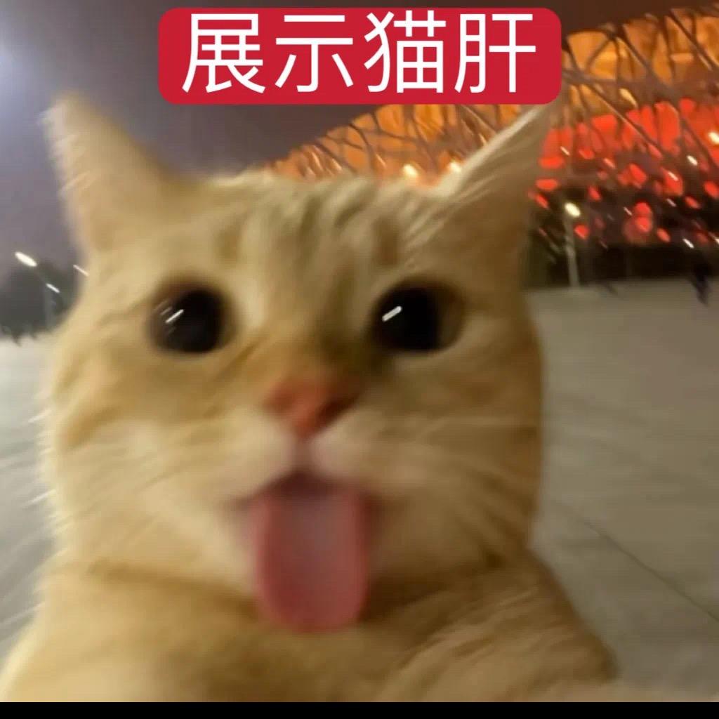 yYy