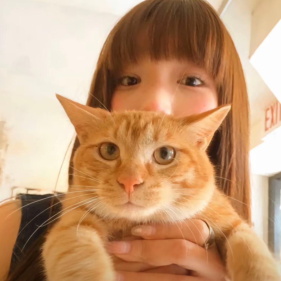 ҈҉҈҉҈҉҈҉҈҉҈҉Uu_