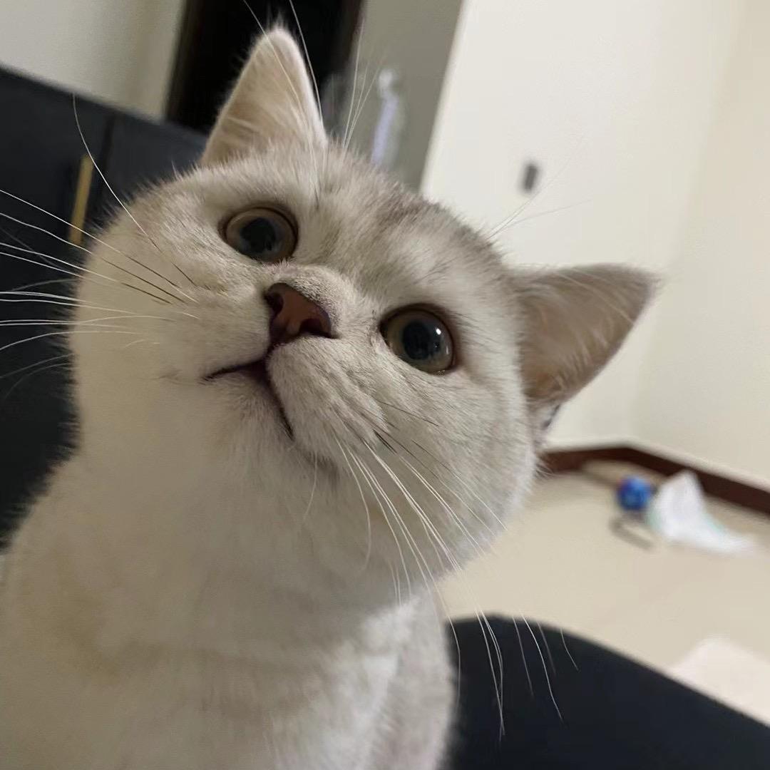 【    】