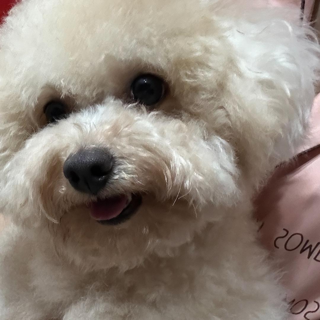 王大勤快
