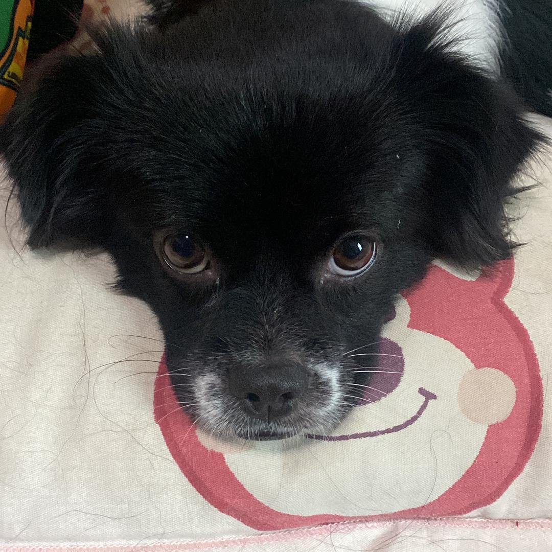 生活别qj我了难道傻福也是福吗？