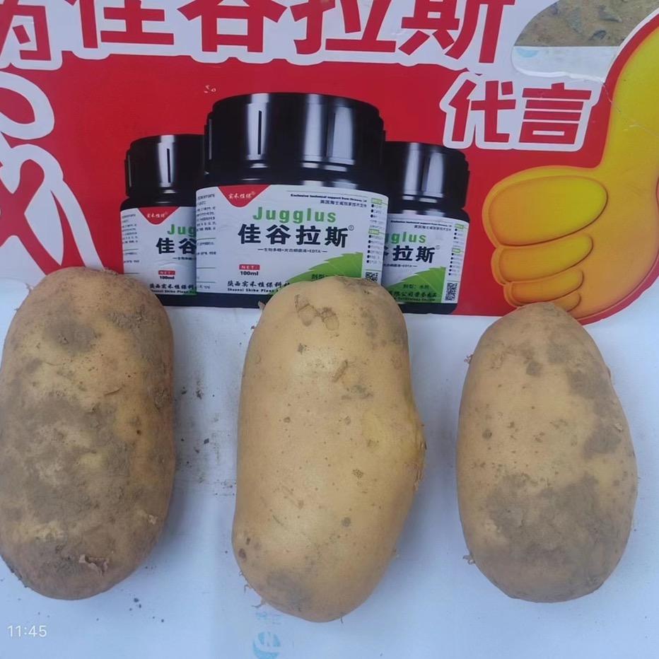 圉村农资店无人机打药