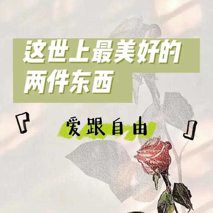 心若芷兰🍀赞家羊汤