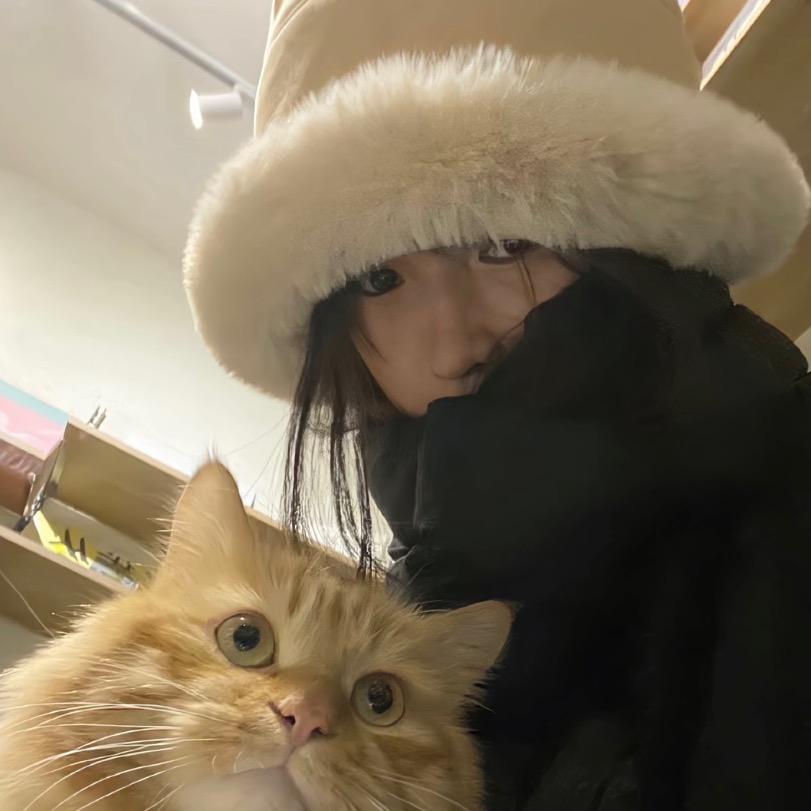 小y.