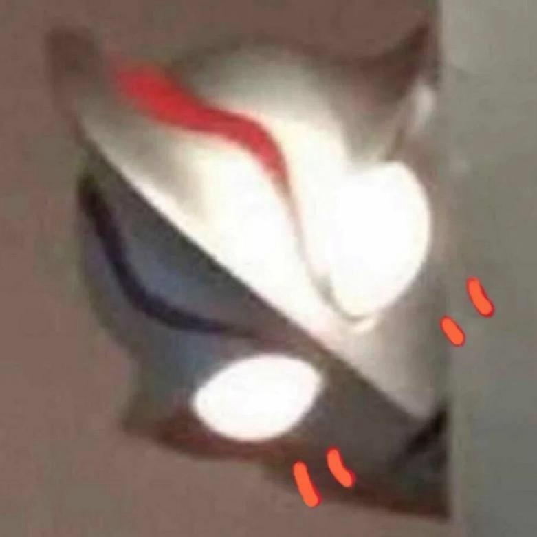 帕尼尼