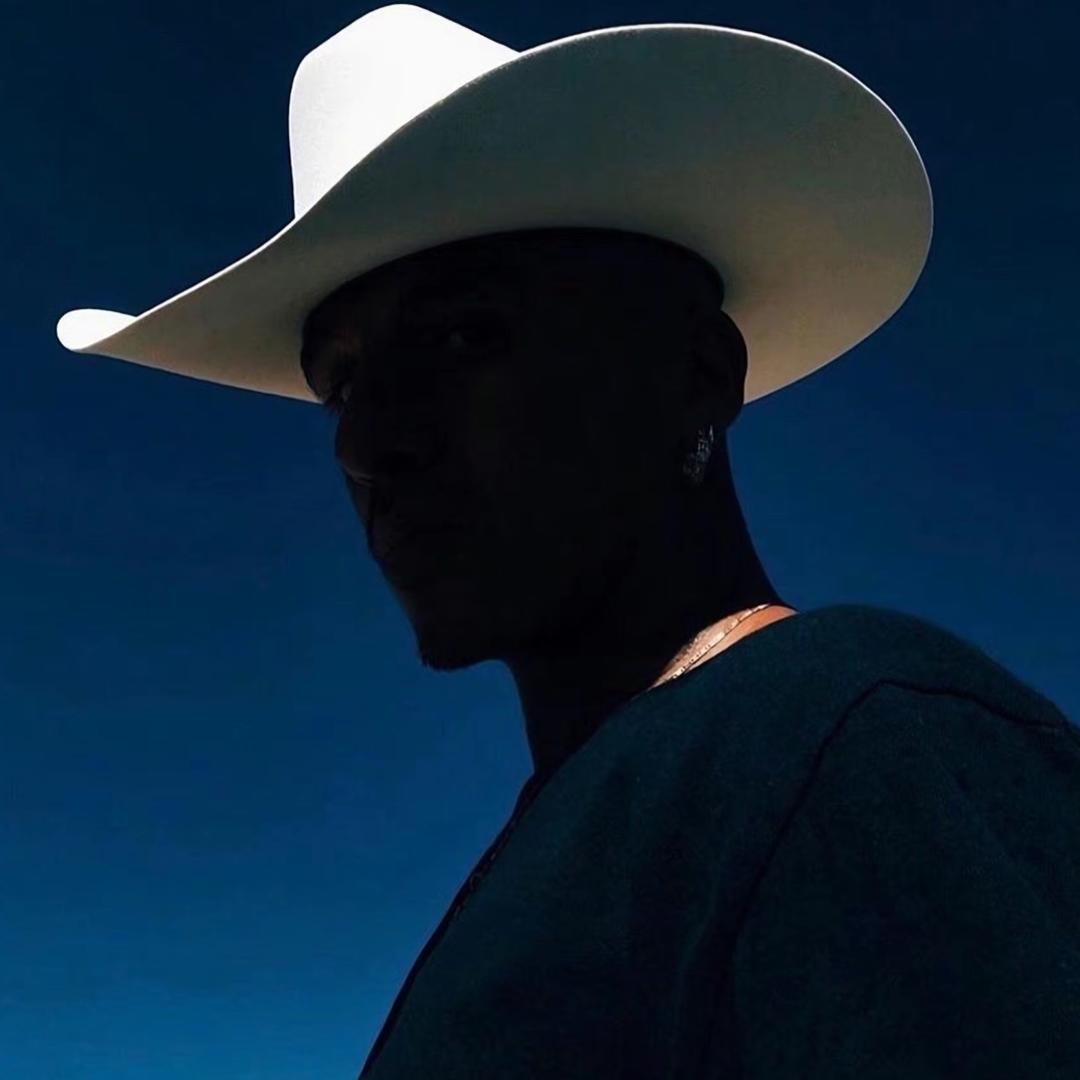 一颗高大的松树