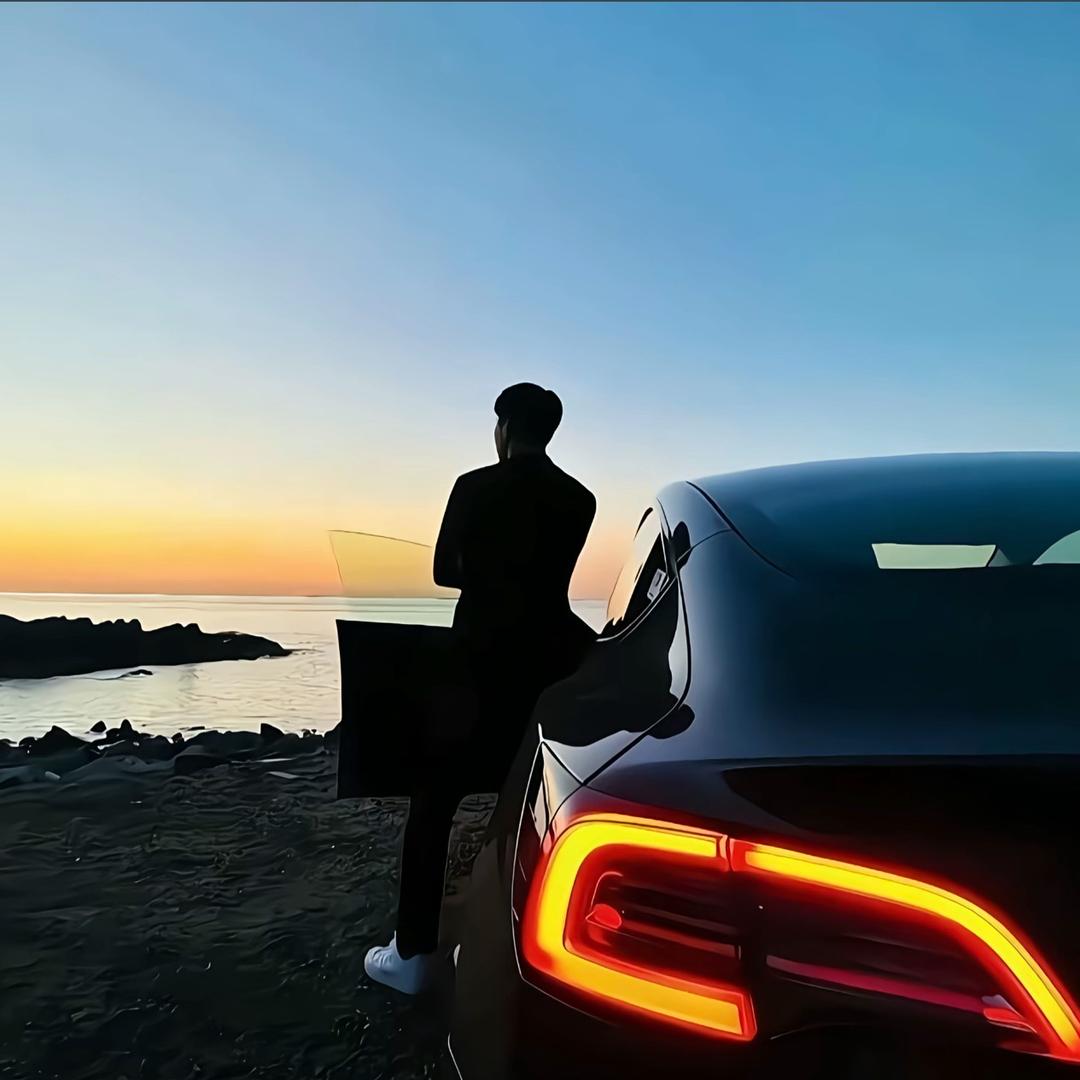 不吃素的狮子 广西白石材