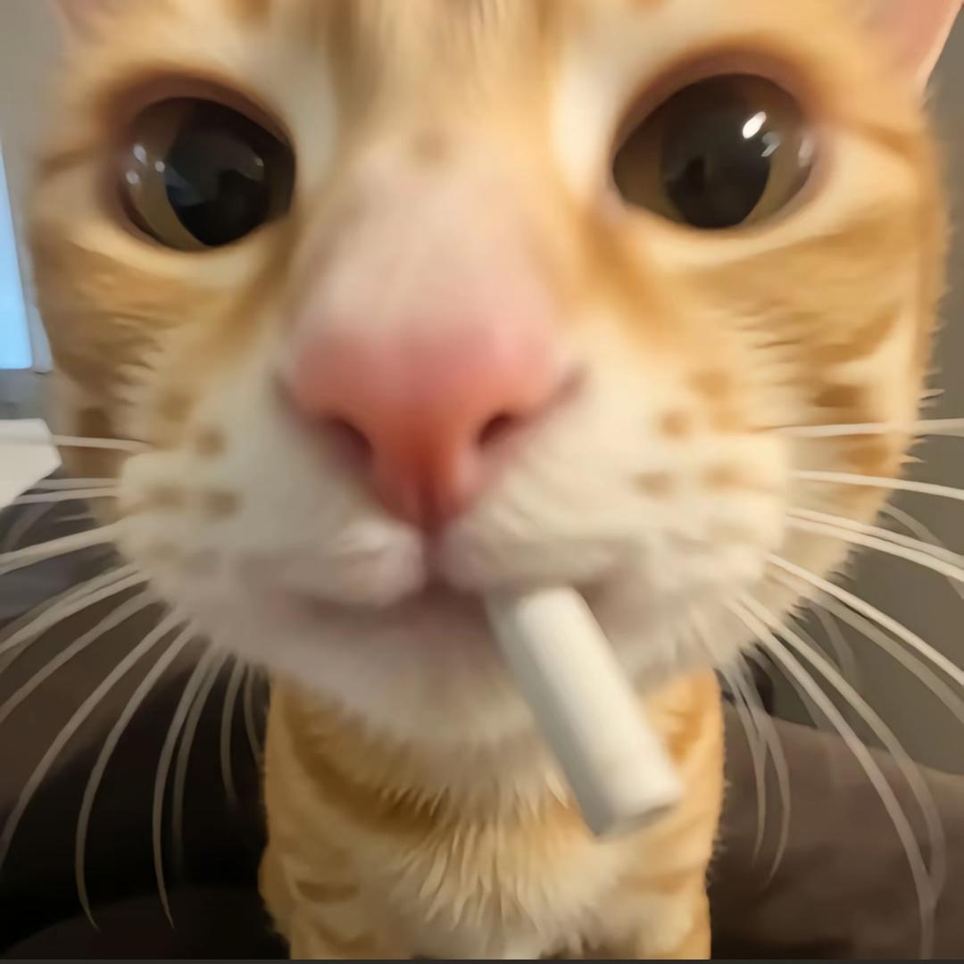 闪电小狗备忘录