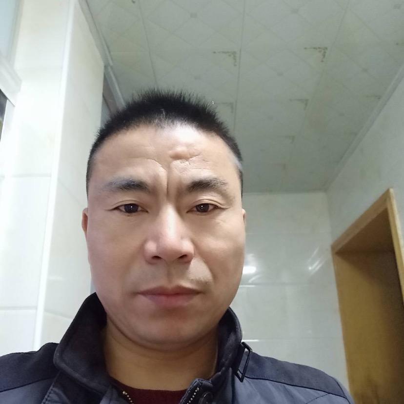 孤独飞鹰