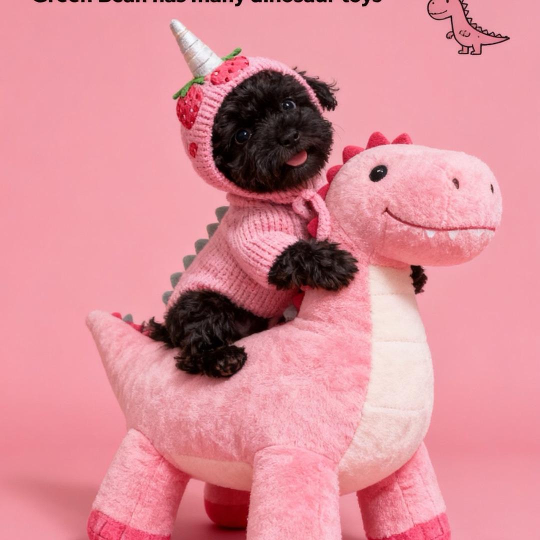 重庆-珈予萌宠-胖姐