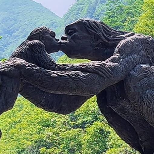 人生淡雅