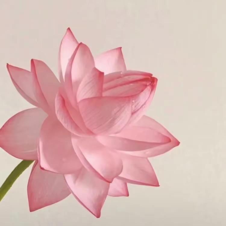 霞姐爱生活❤️好物分享