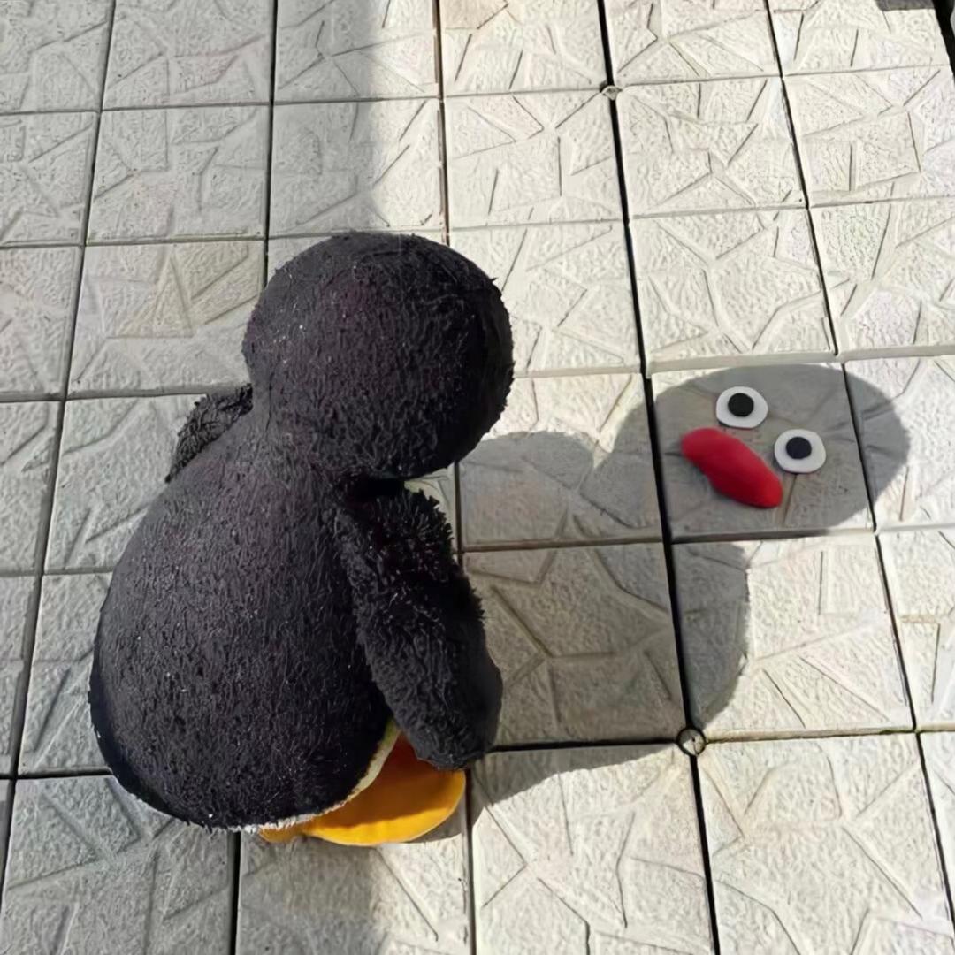 小猫不次鱼