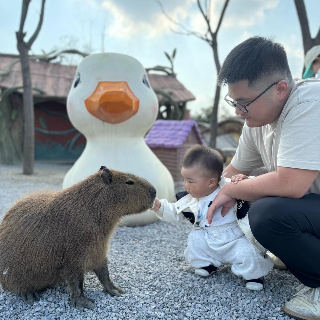 金玺家纺四件套