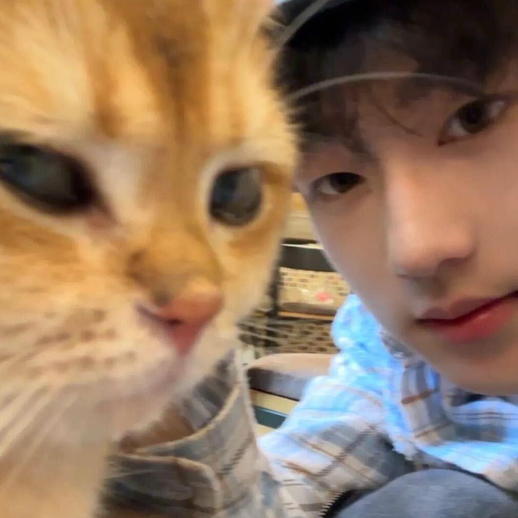 温柔体贴的菠萝牛