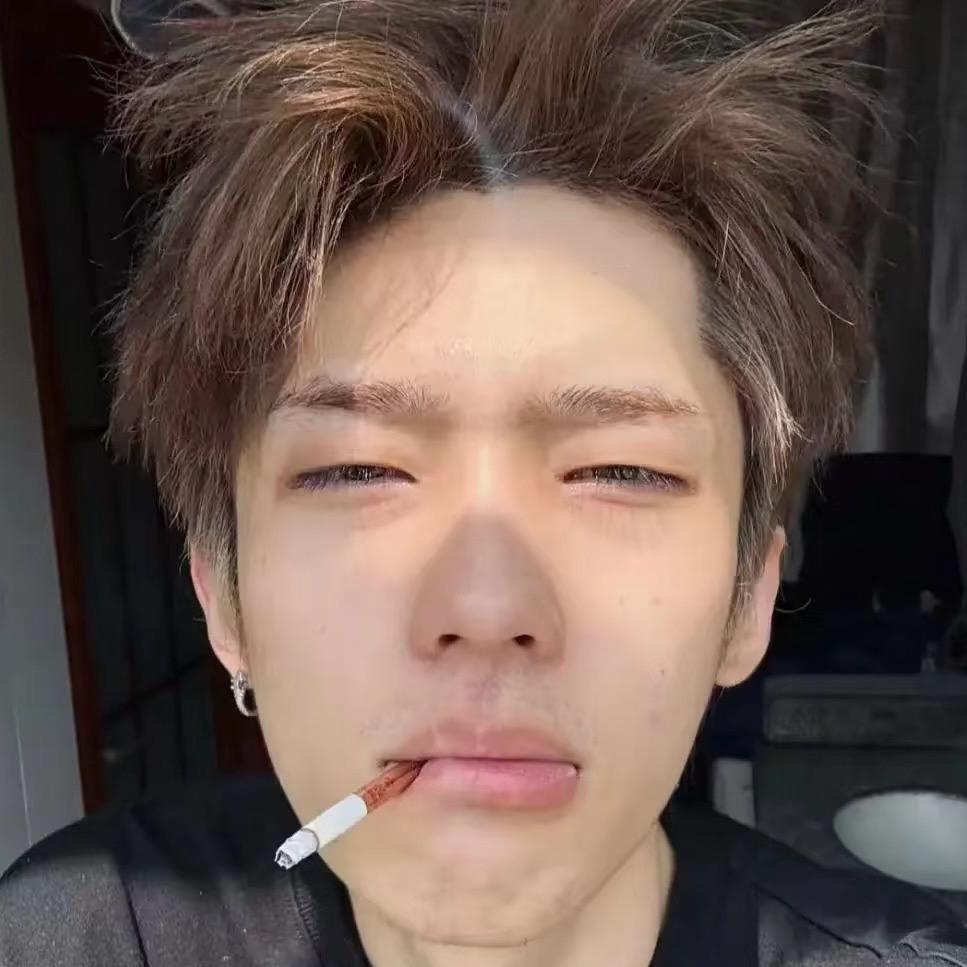 誓死保卫公主殿下