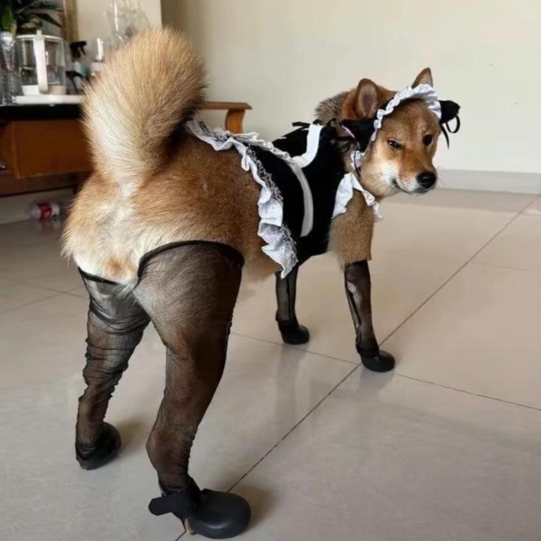 林宪明