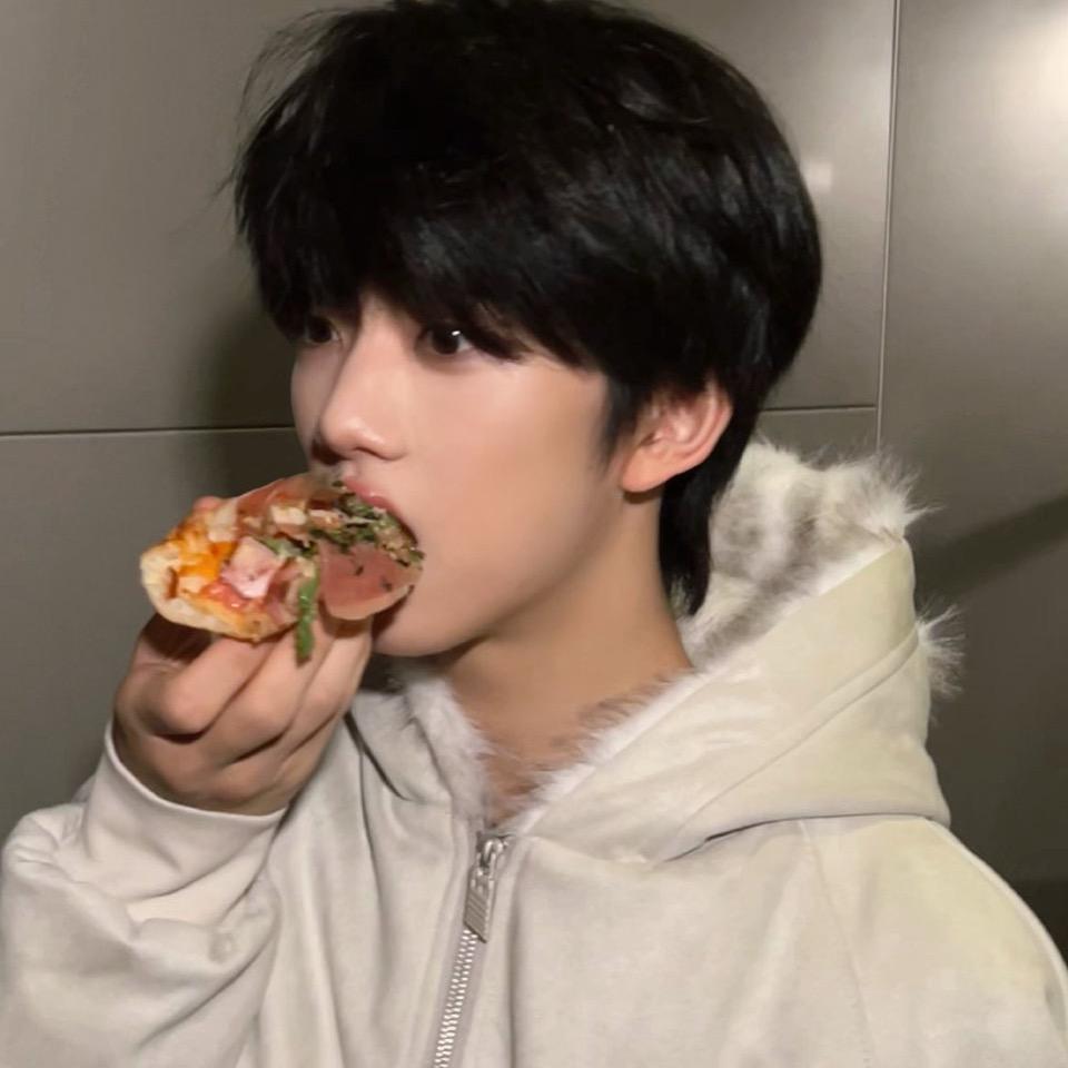 于是桂圆圆猫降临