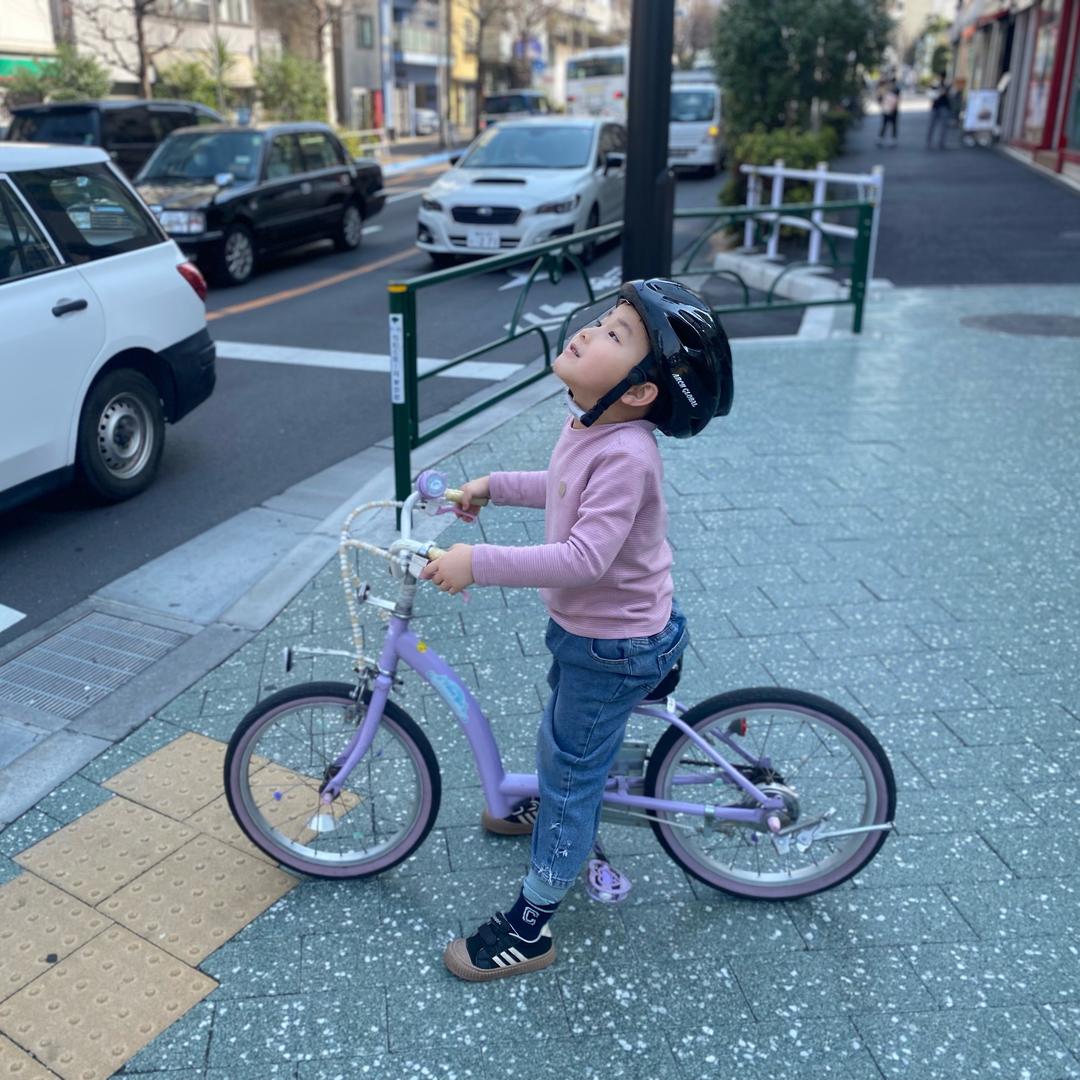 大宝、小宝日本上学记