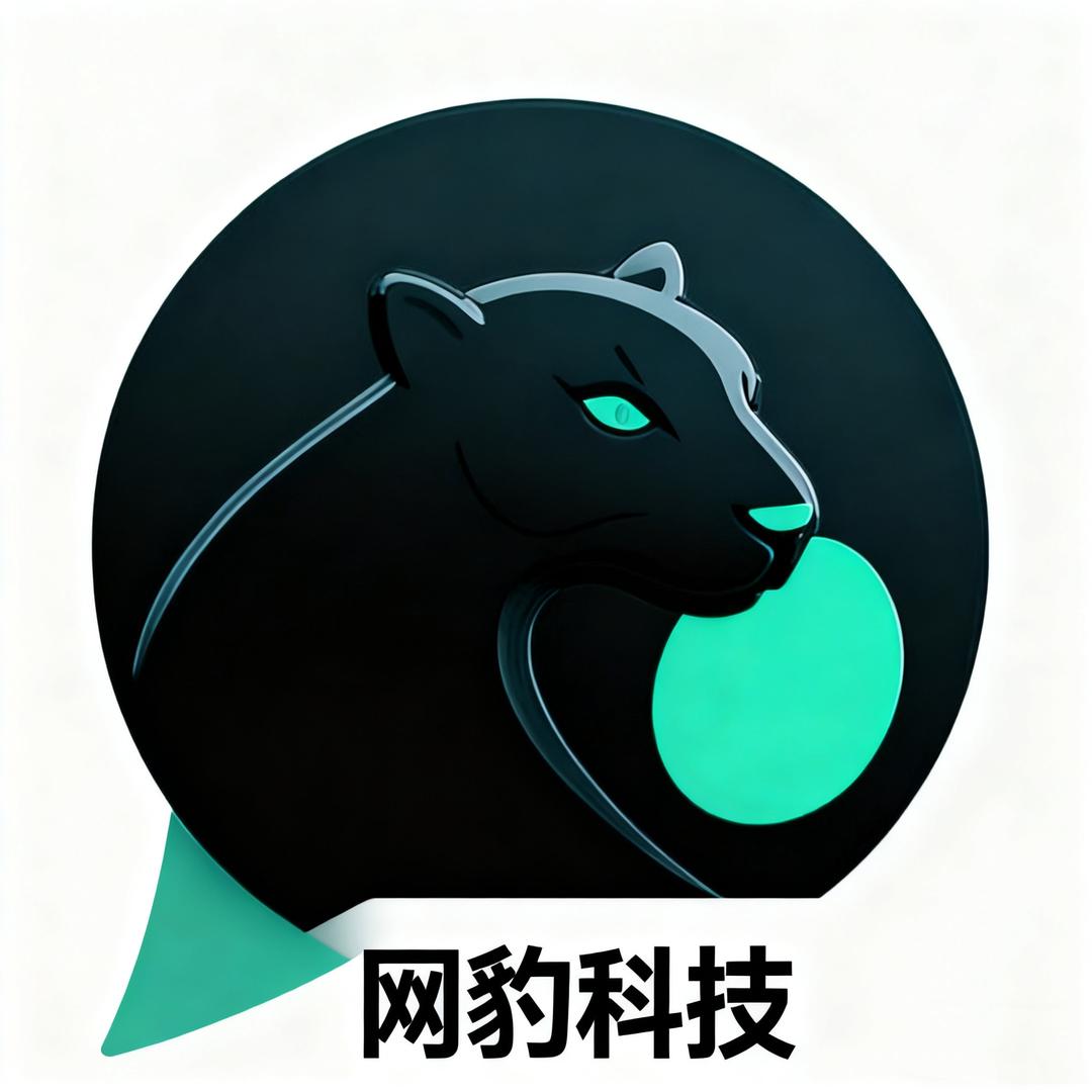 四川网豹软件开发