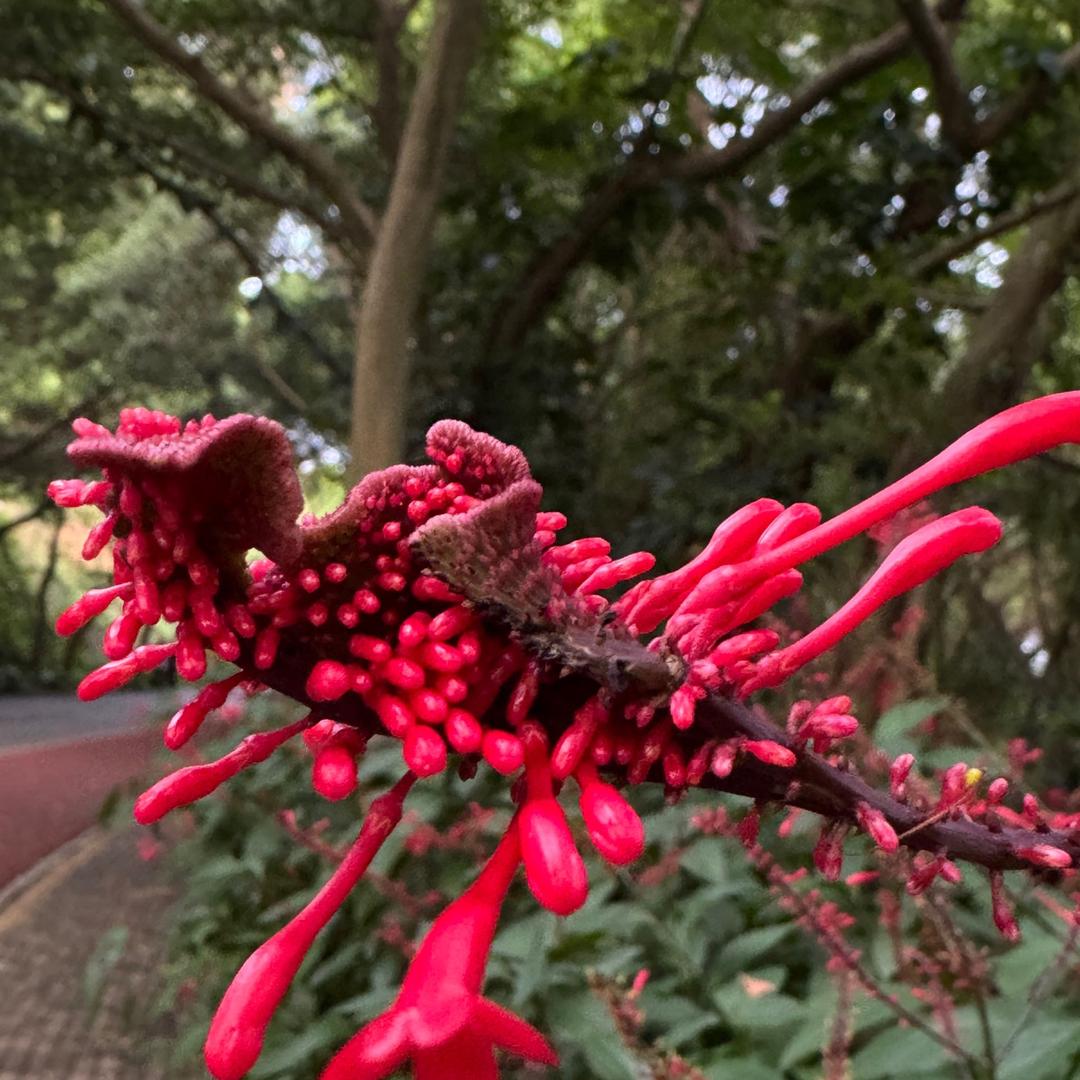 🍀我就是我🍀