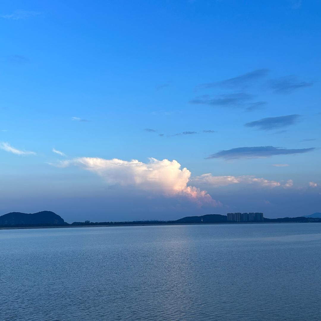 大风刮过