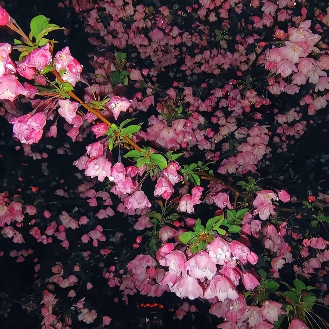 ℳ๓: 拾荒者