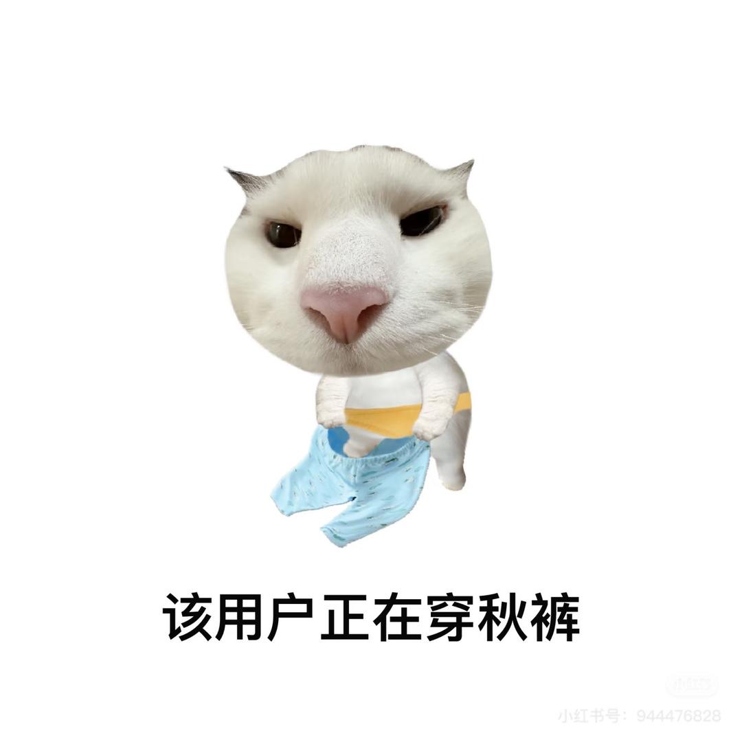 Good Good🥣🍚💤