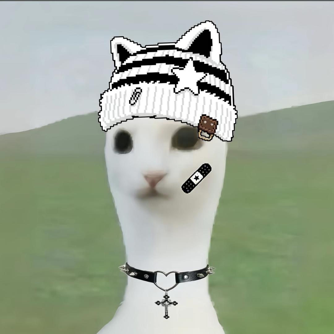 全世界都在针对我