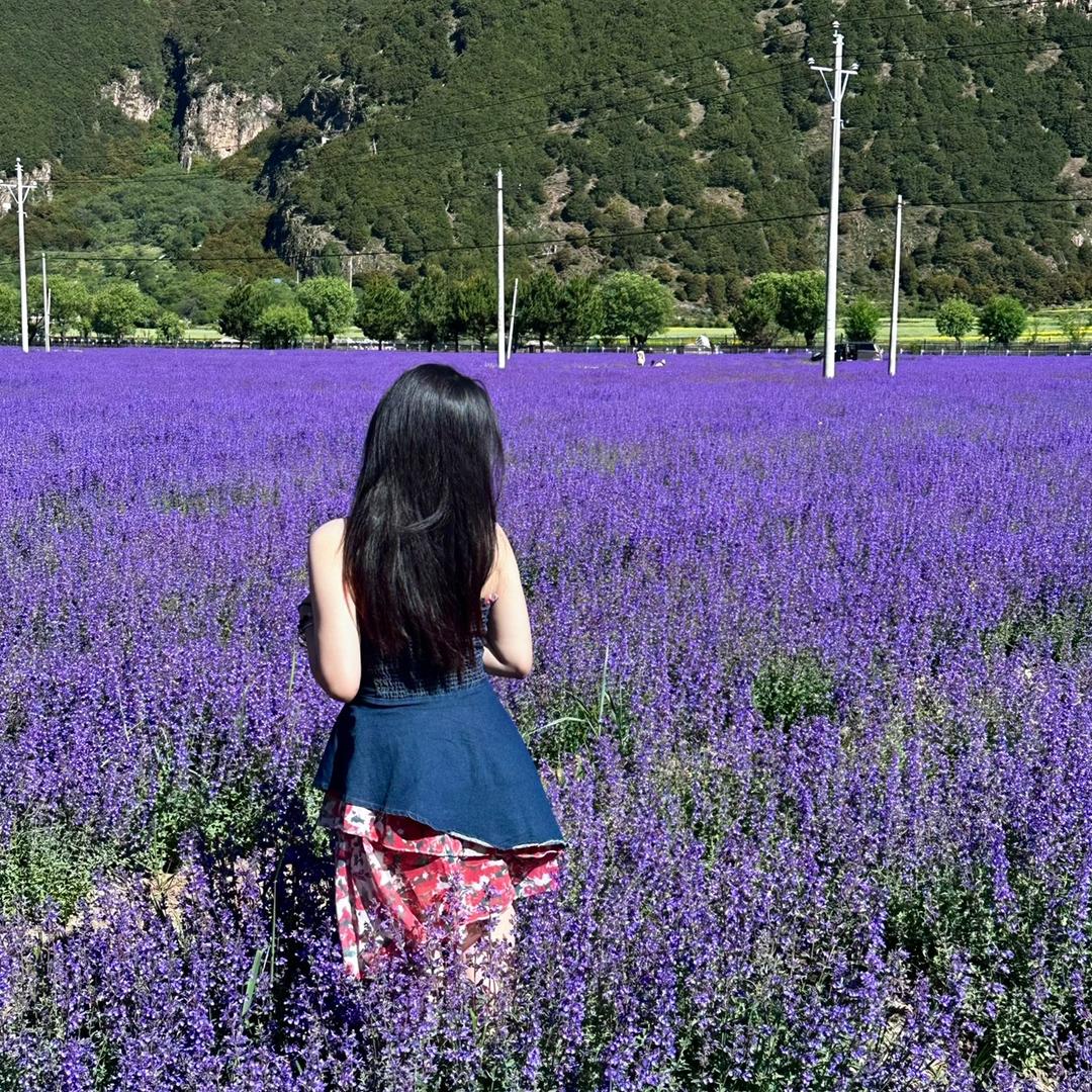 小曾同学🌸