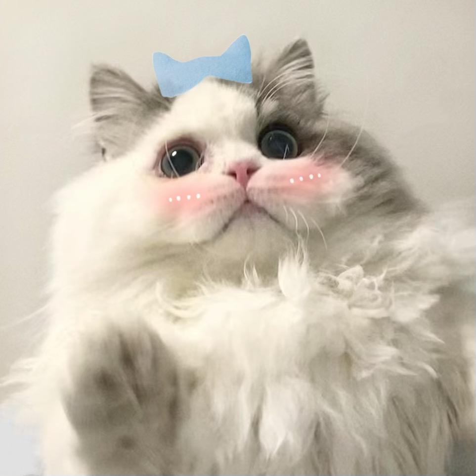 吃个小雪高