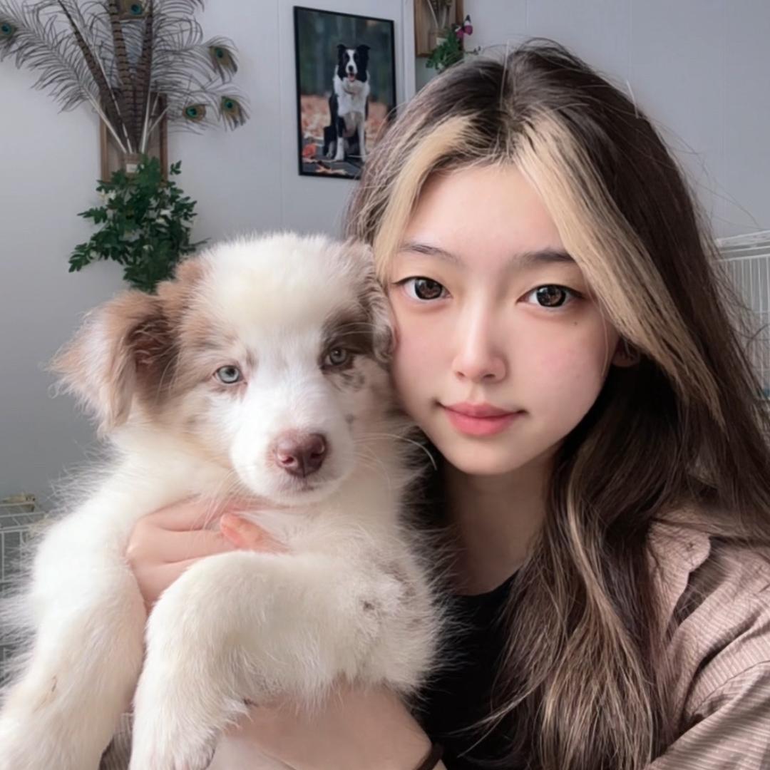 佳琪的小边牧（牧翎犬舍）