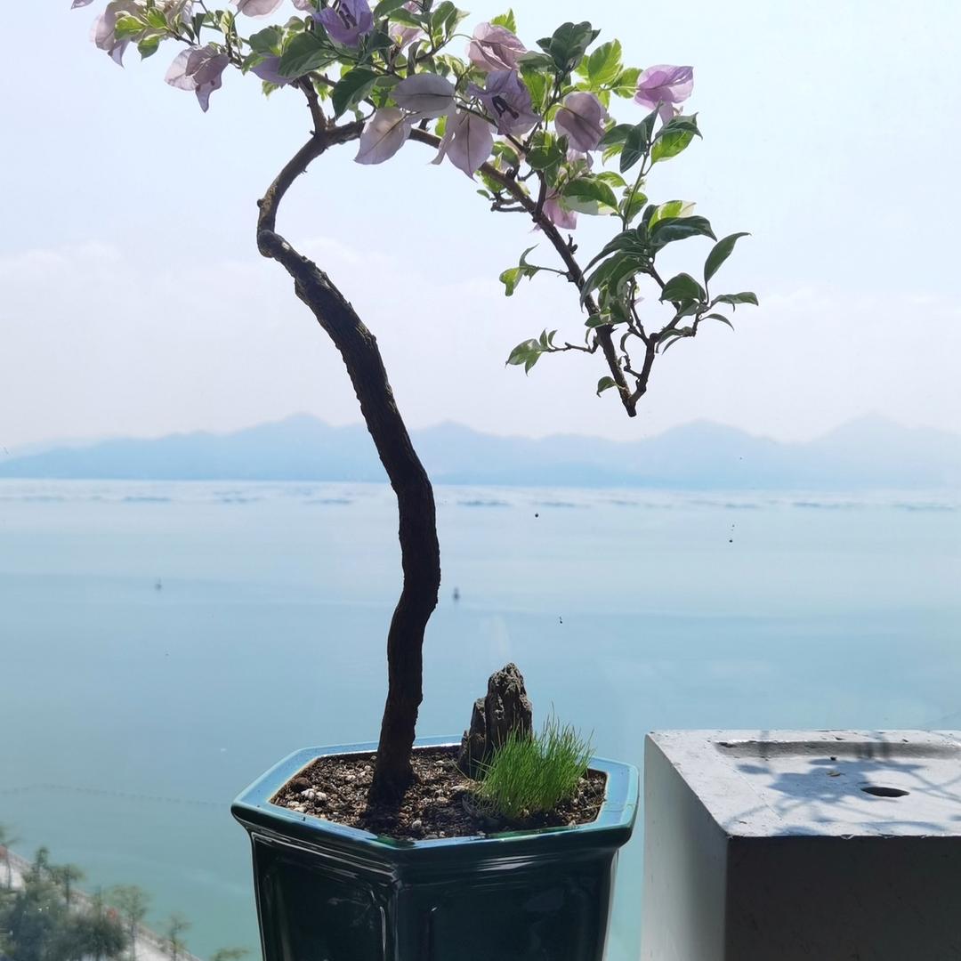 中国宜兴巧艺陶瓷有限公司