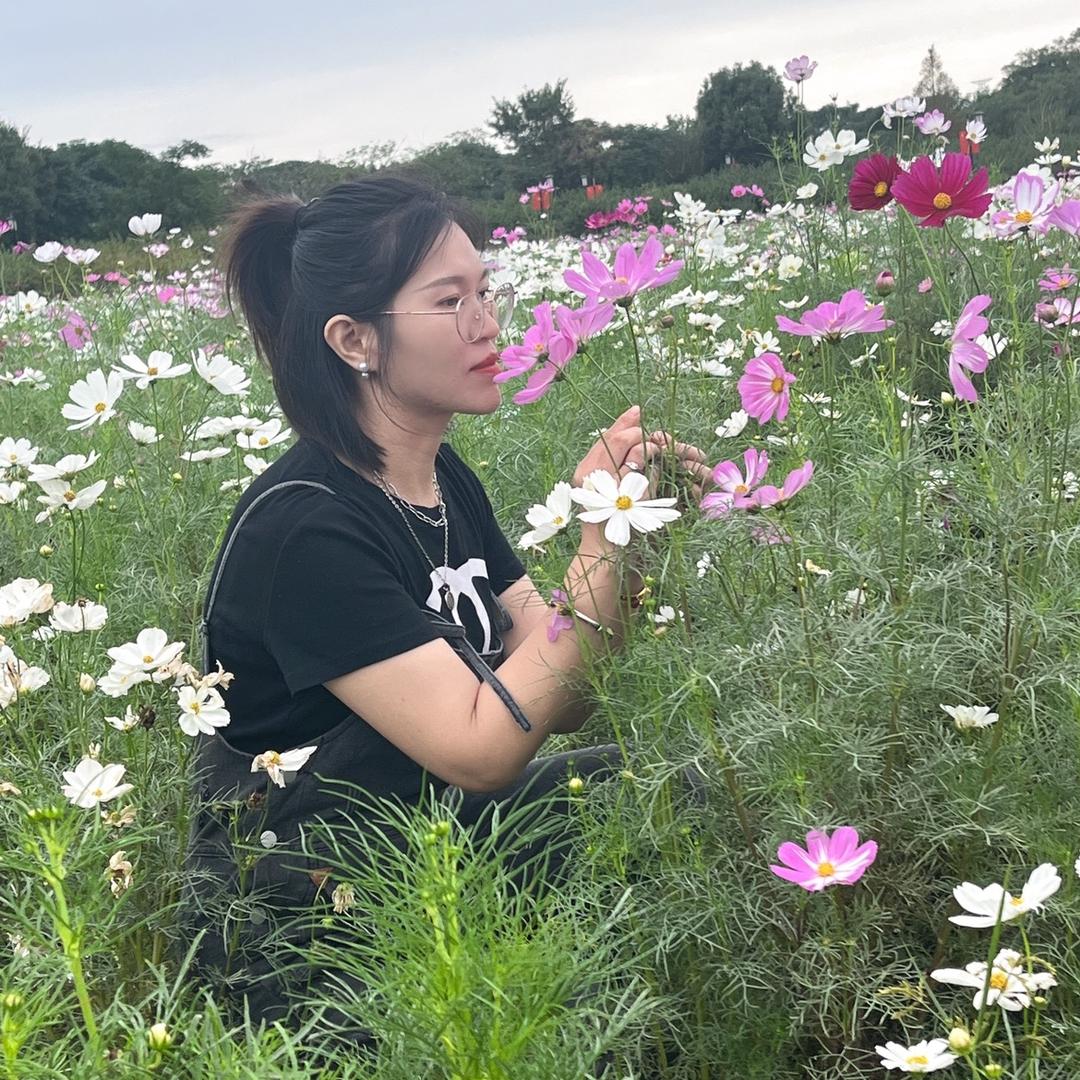 江南的漫妮