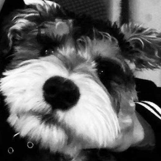 安财贸旭旭学长