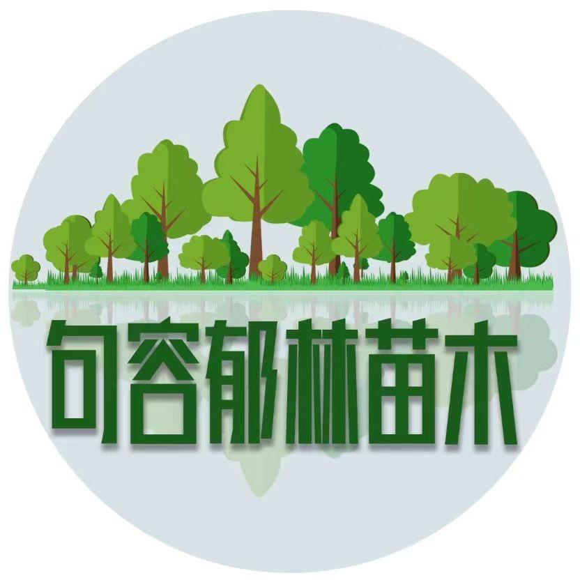 句容郁林苗木