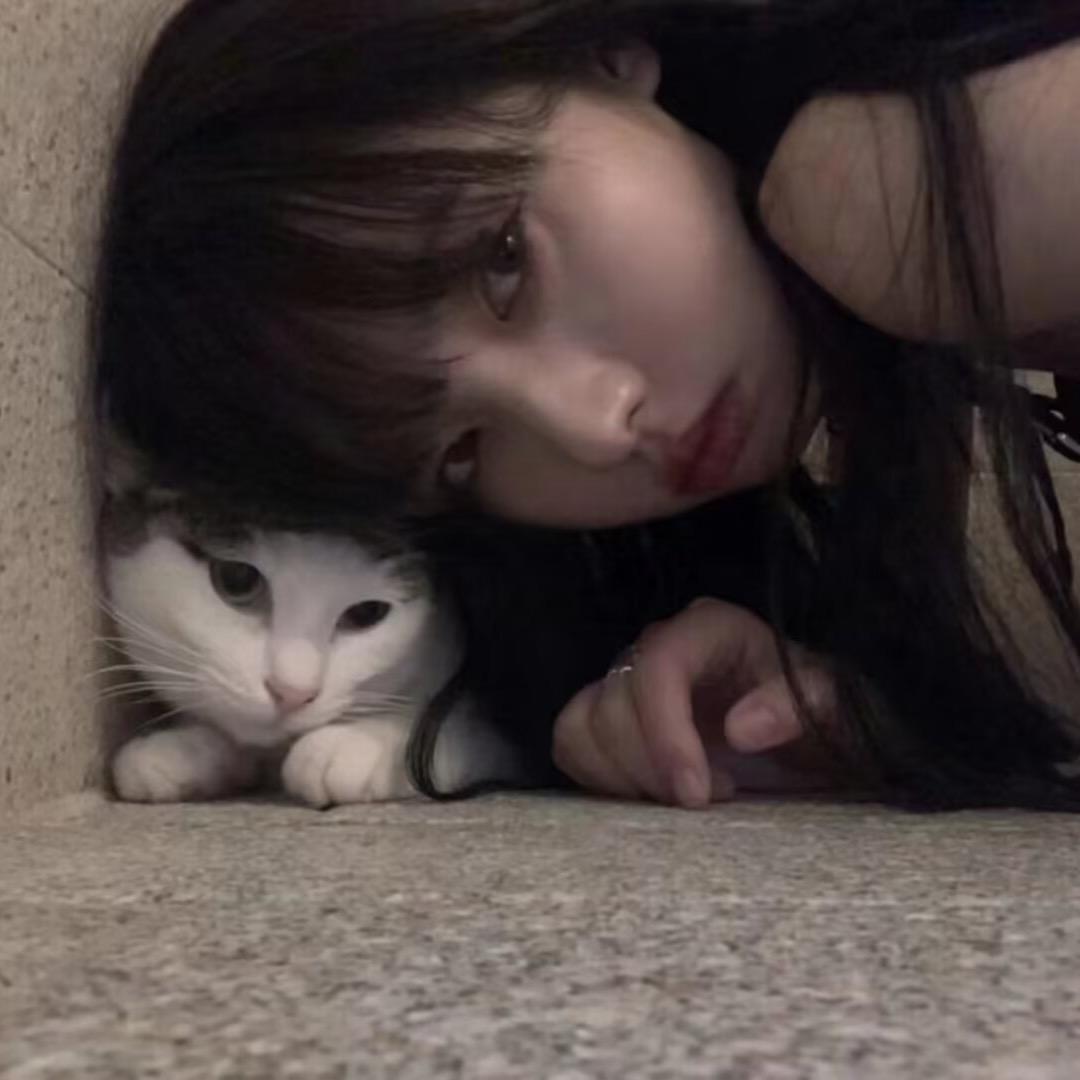 今天也有好好码字（暴富版）