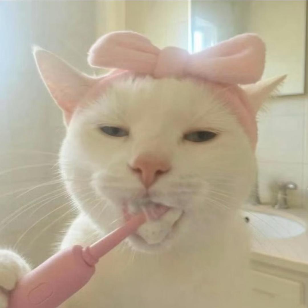 蛋黄不耶
