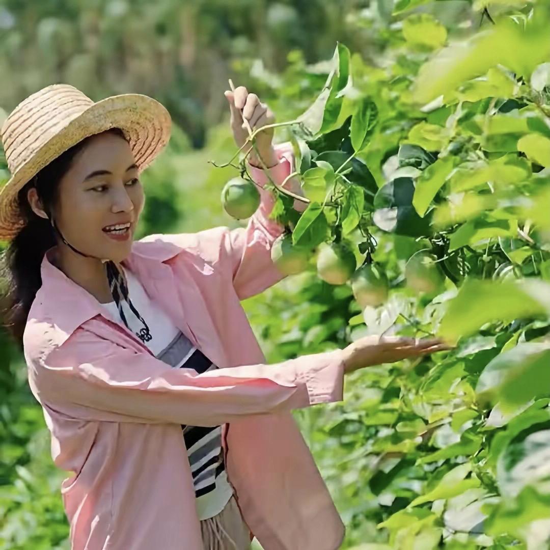 广西玉姐(精选特产)