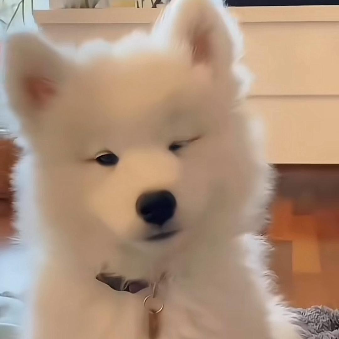 菜鸡的逆袭之路