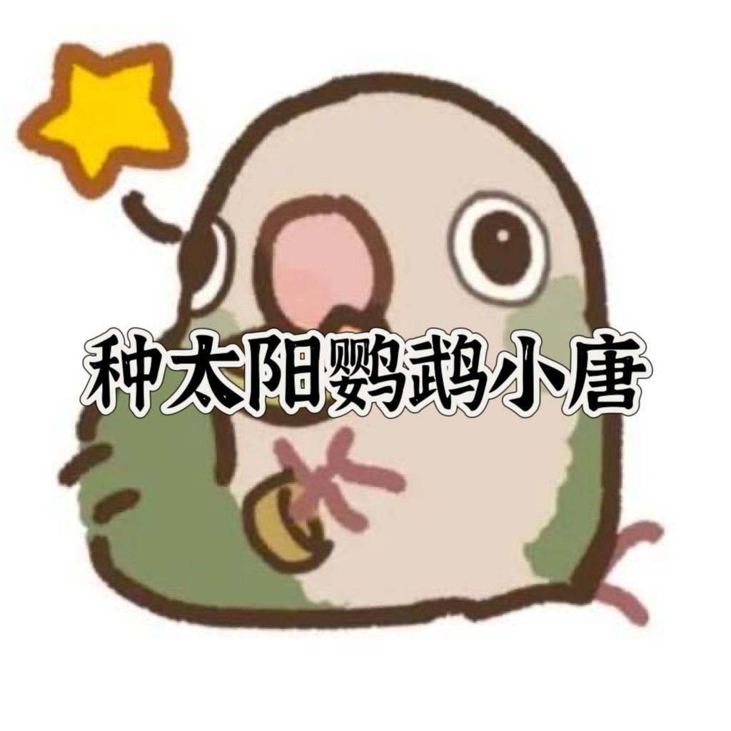 种太阳鹦鹉小唐