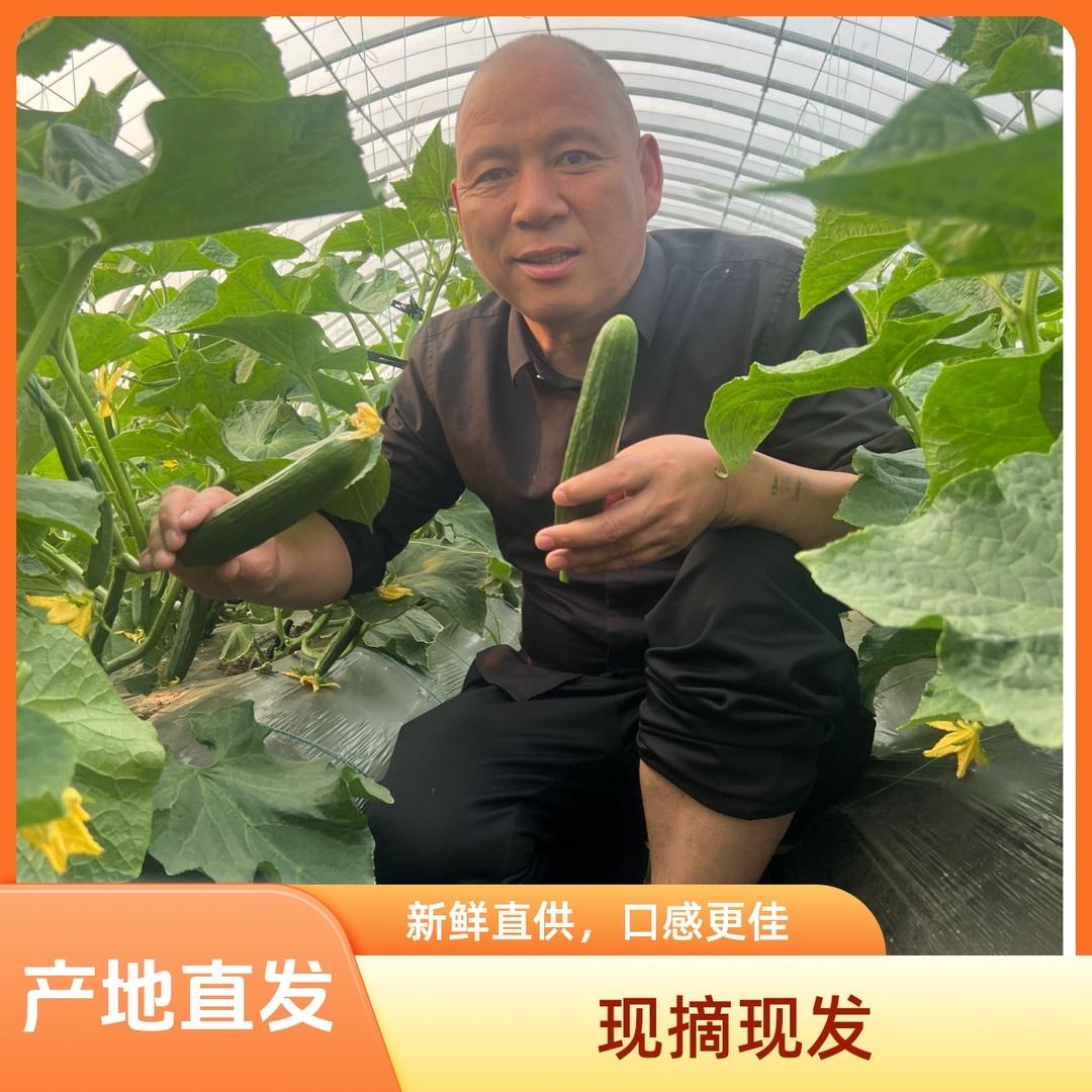 秃哥蔬菜种植基地（老秃的亲小舅子）